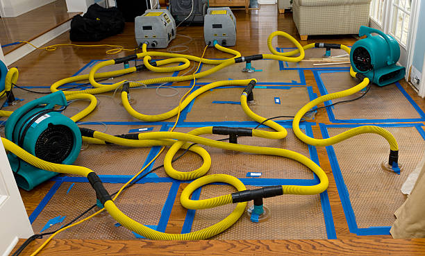 Professional Sewage Cleanup technician working in Belle Center, OH